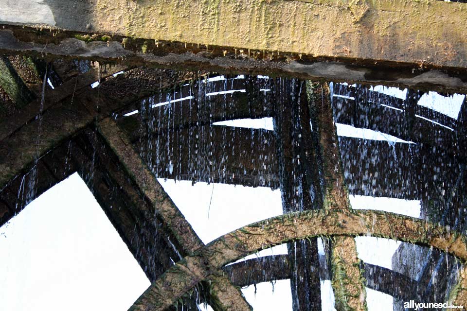 Noria de la Hoya D. García en Abarán