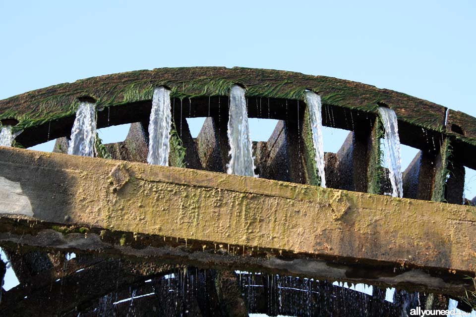 Noria de la Hoya D. García en Abarán