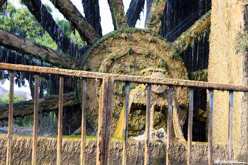 Noria de la Hoya D. García en Abarán