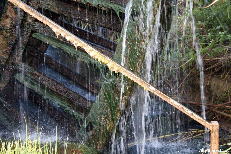 Noria de la Hoya D. García en Abarán