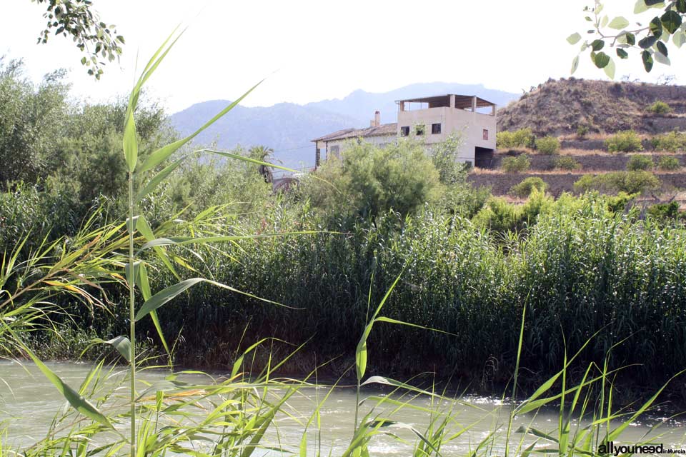 Ñorica Waterwheel in Abarán. Spain