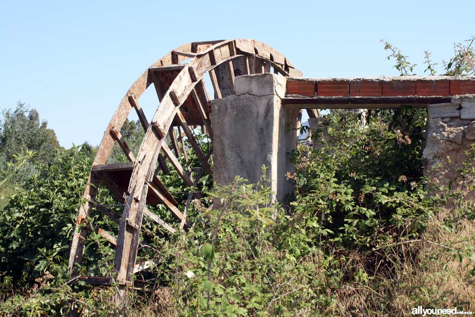 Ñorica Waterwheel in Abarán. Spain