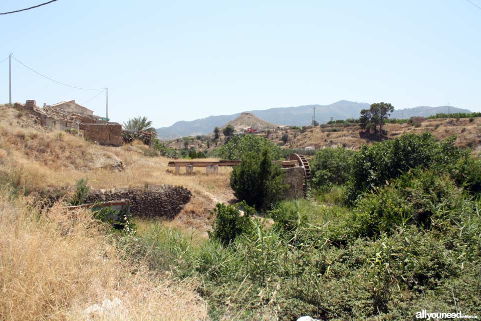 Noria de Félix Cayetano en Abarán. El Cabecico de la Cobertera al Fondo