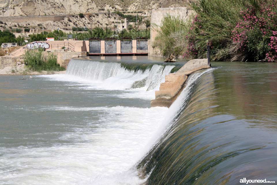 El Jarral Dam Park