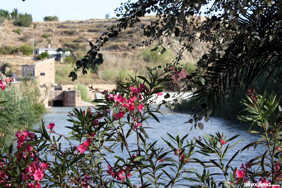 El Jarral Dam Park