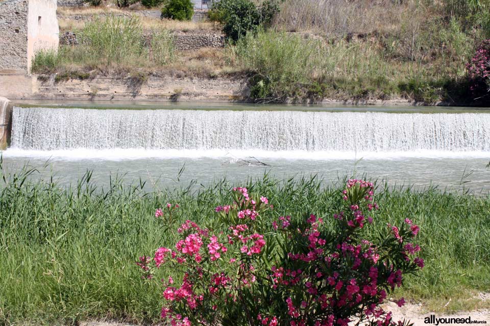 El Jarral Dam Park