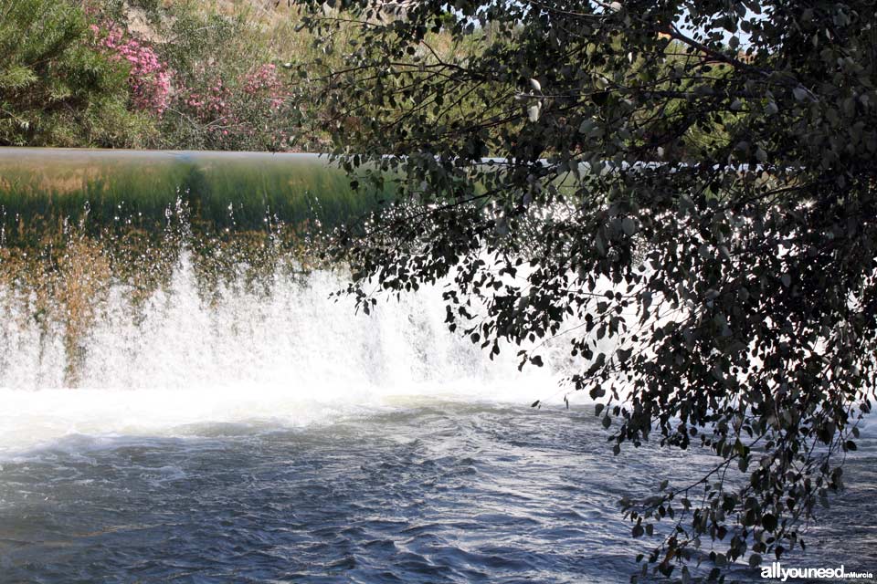 El Jarral Dam Park