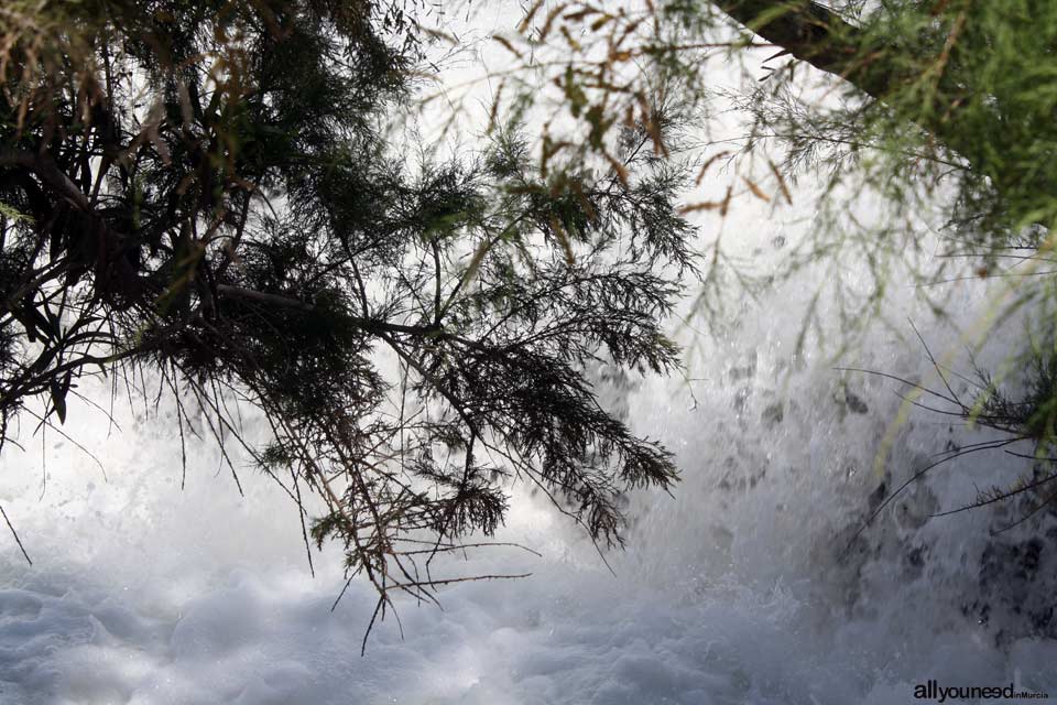 El Jarral Dam Park