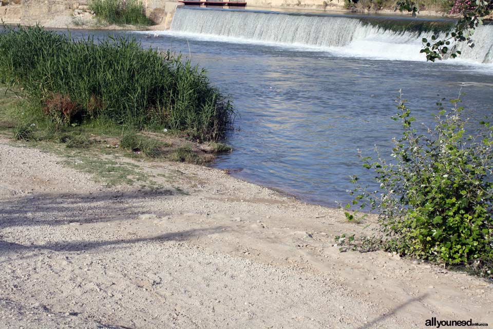 El Jarral Dam Park