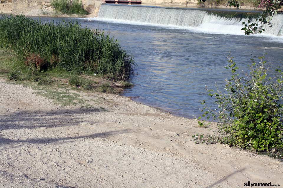 Parque Presa El Jarral