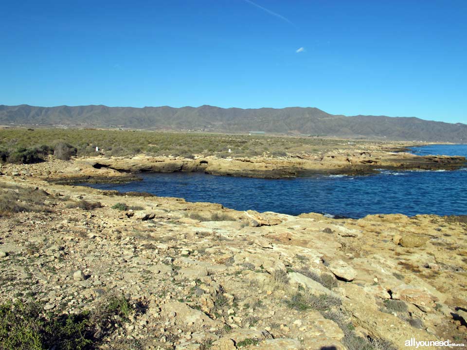 Cala Pozo del Animal