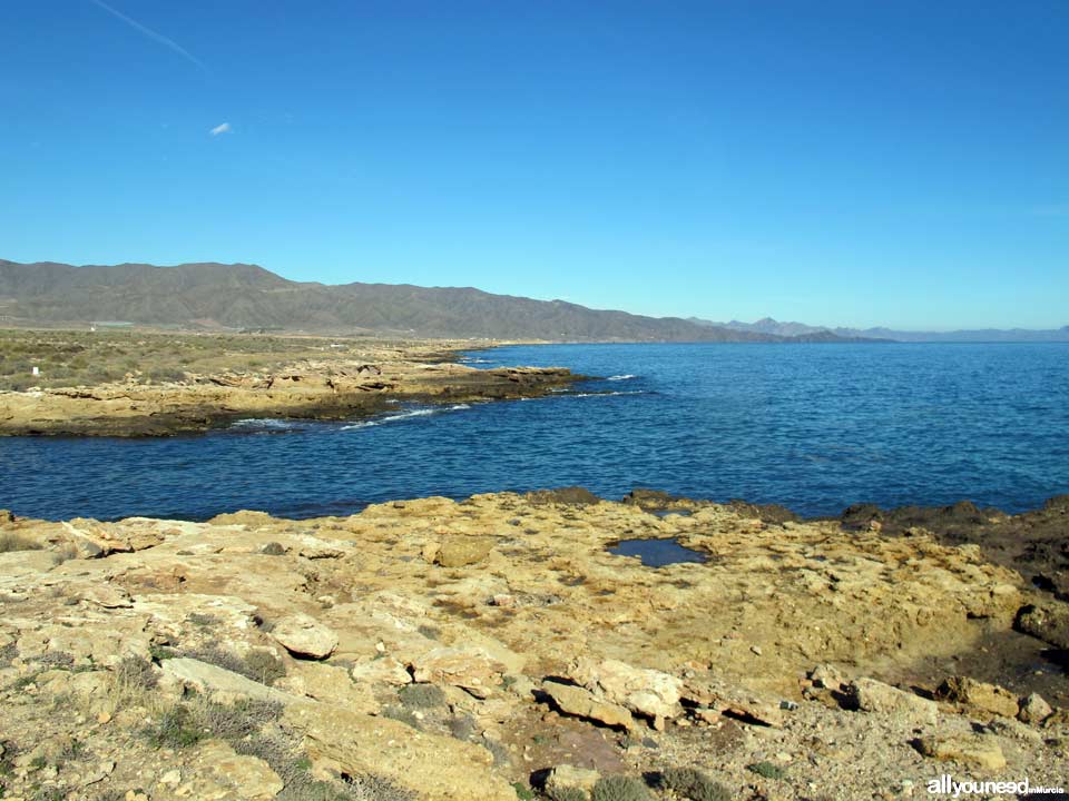 Pozo del Animal
