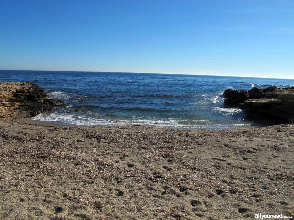 Pulgas Cove