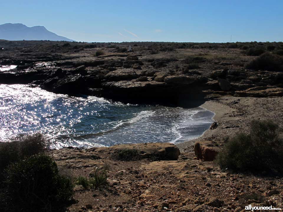 Pulgas Cove