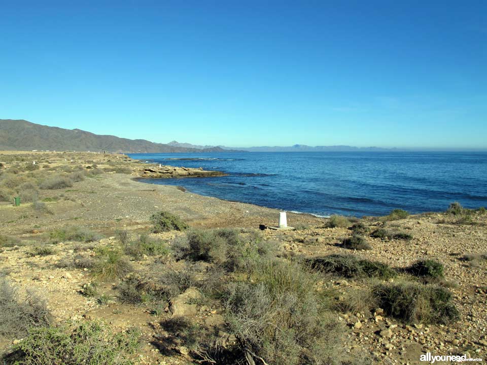 Cala de los Abejorros