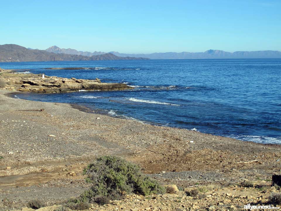 Cala de los Abejorros