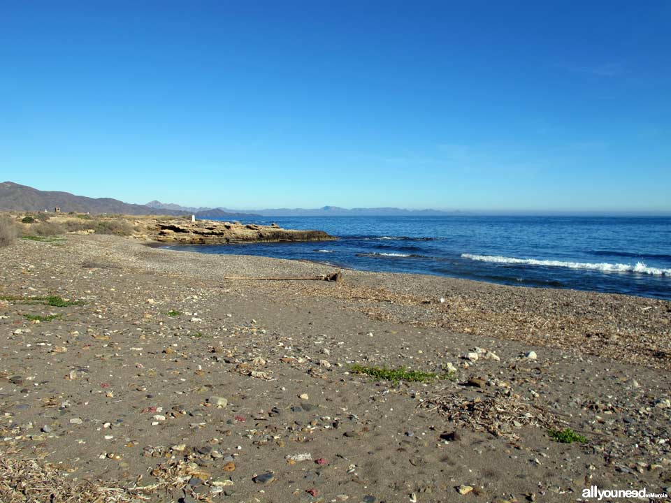 Cala de los Abejorros