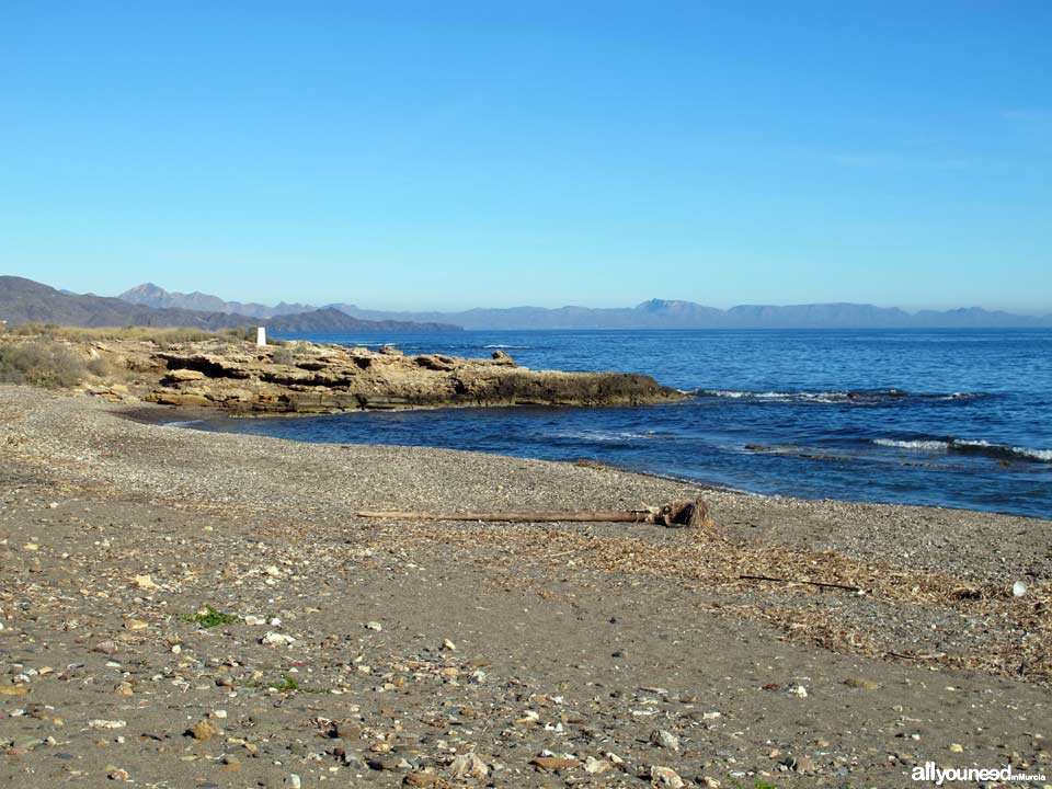 Cala de los Abejorros