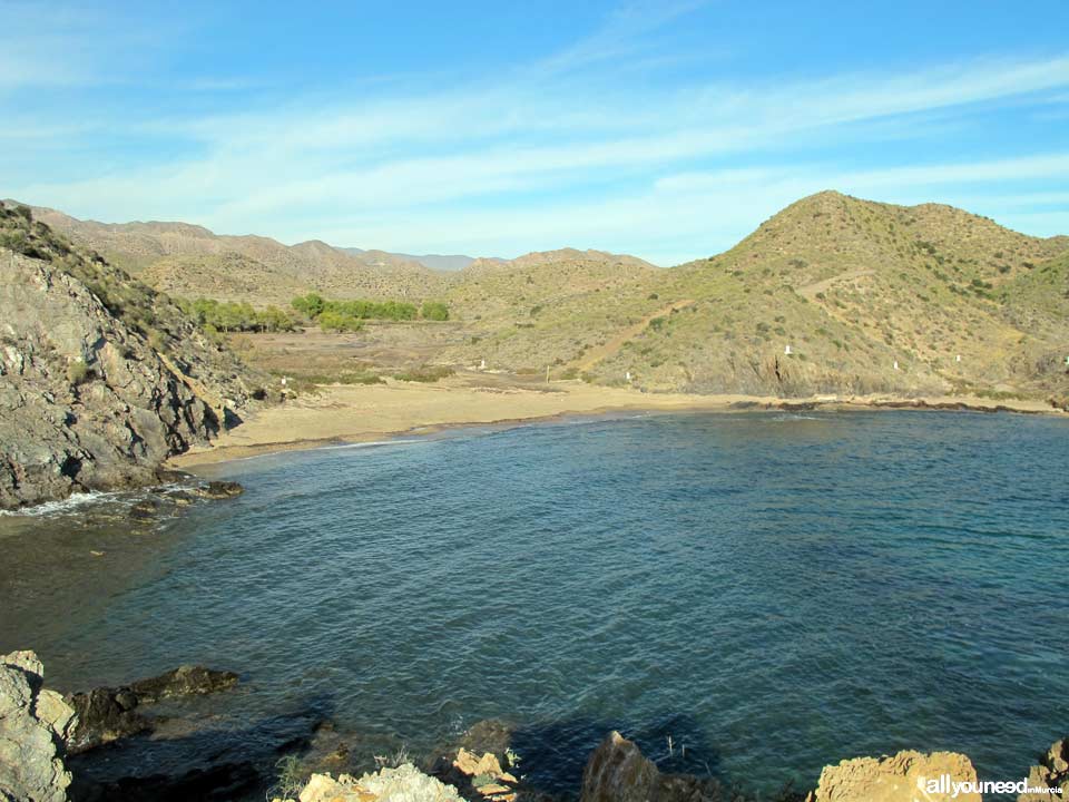 Cala del Pino. Aguilas