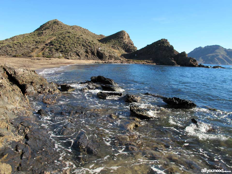 Cala del Pino. Aguilas