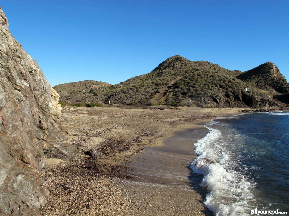 Cala del Pino. Aguilas