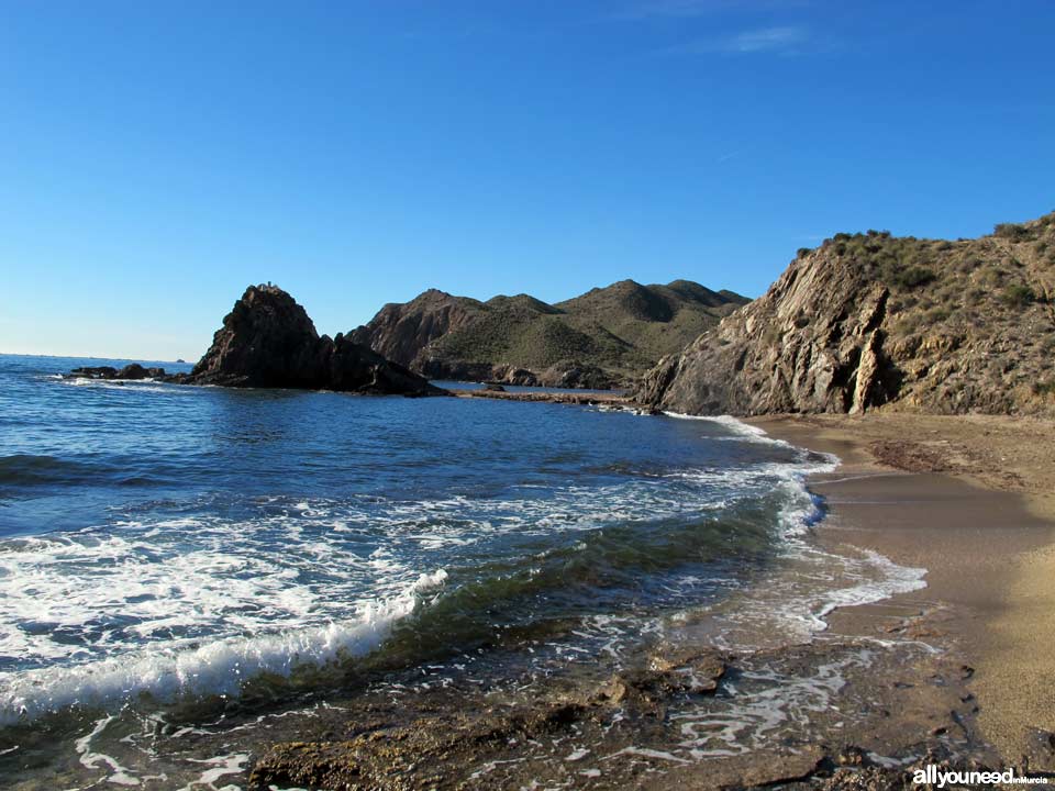 Cala del Pino. Aguilas