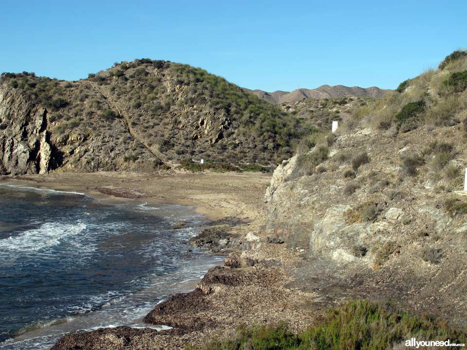 Cala del Pino. Aguilas