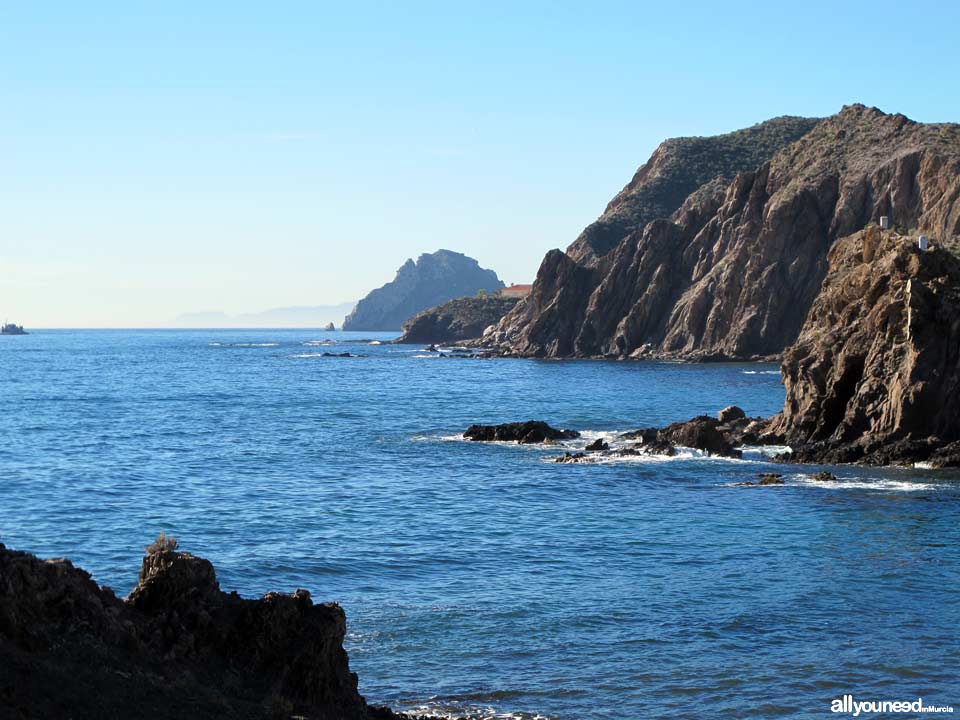 Cala del Pino. Aguilas