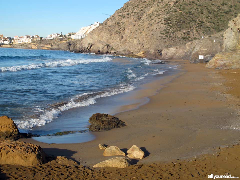 Playa Amarilla / Playa del Cigarro. Aguilas