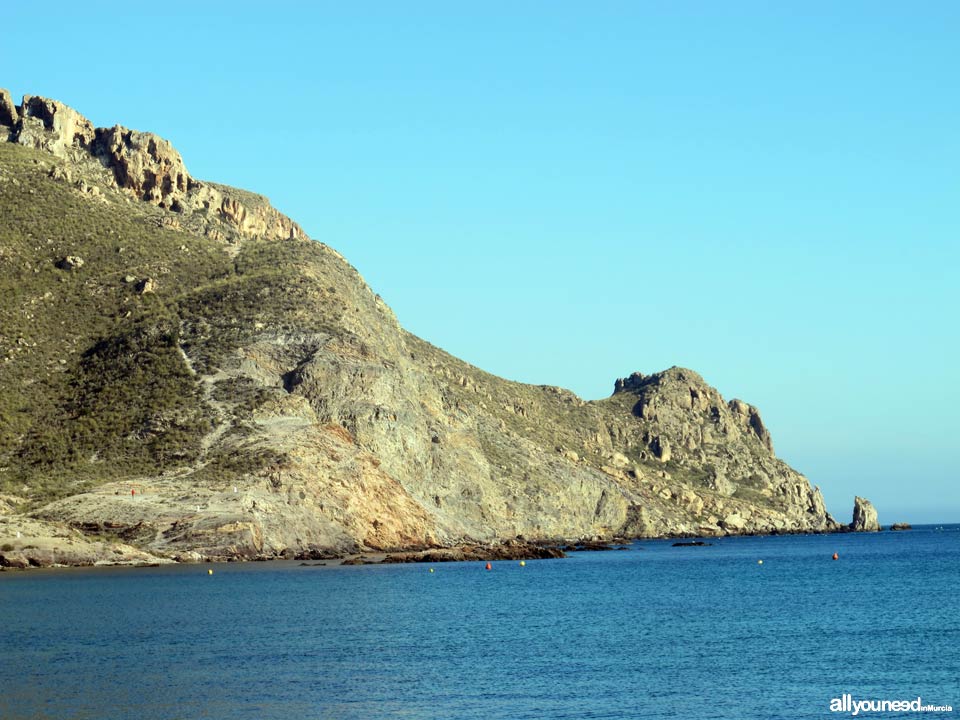 Playa de Calabardina