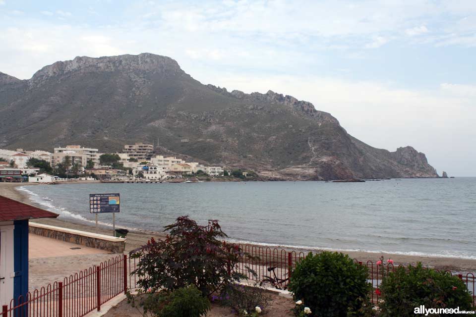 Playa de Calabardina