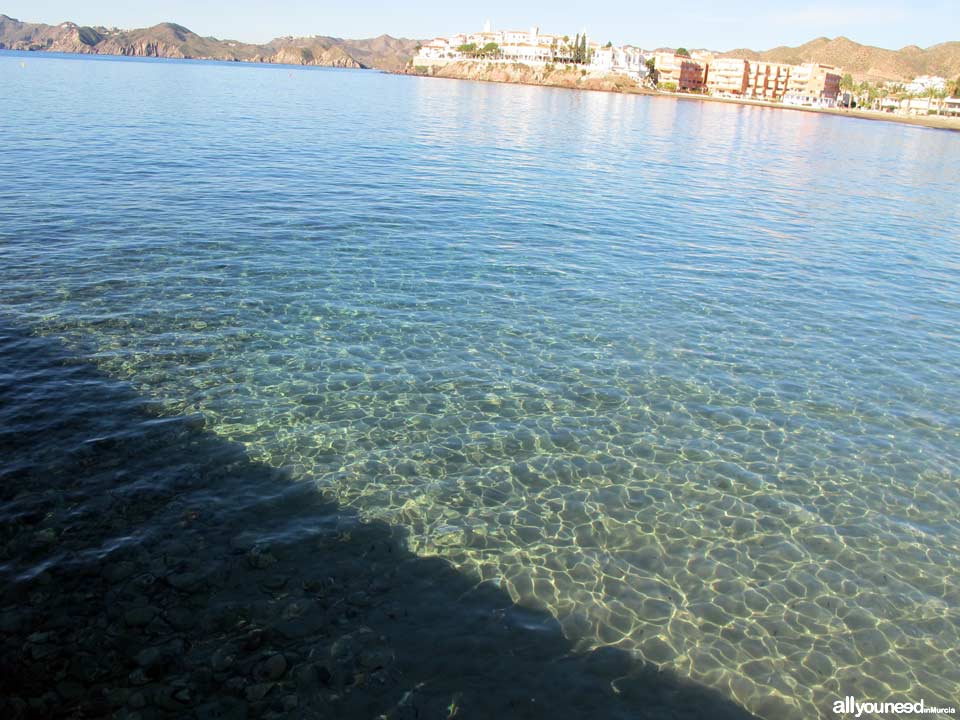 Playa de Calabardina