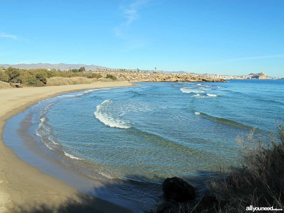 Playa de Matalentisco