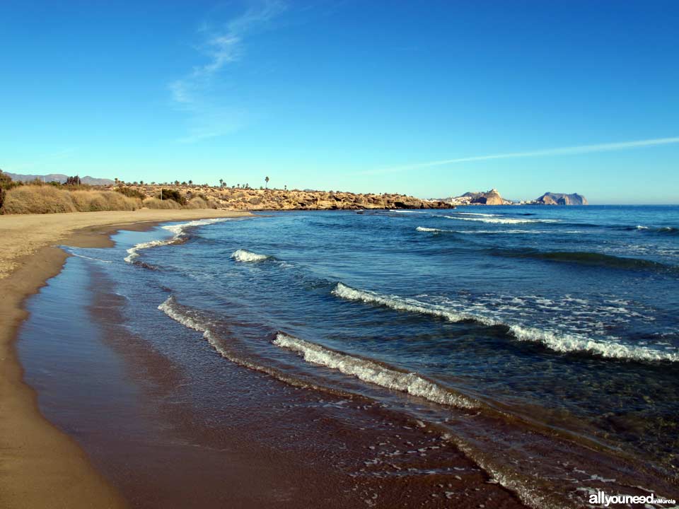 Playa de Matalentisco