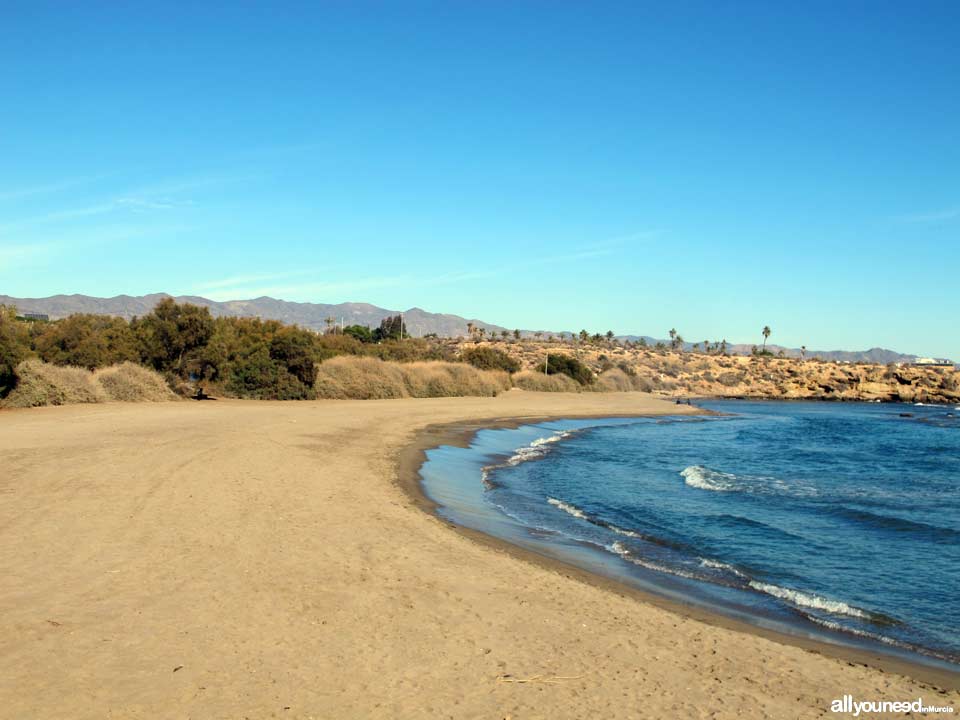 Playa de Matalentisco