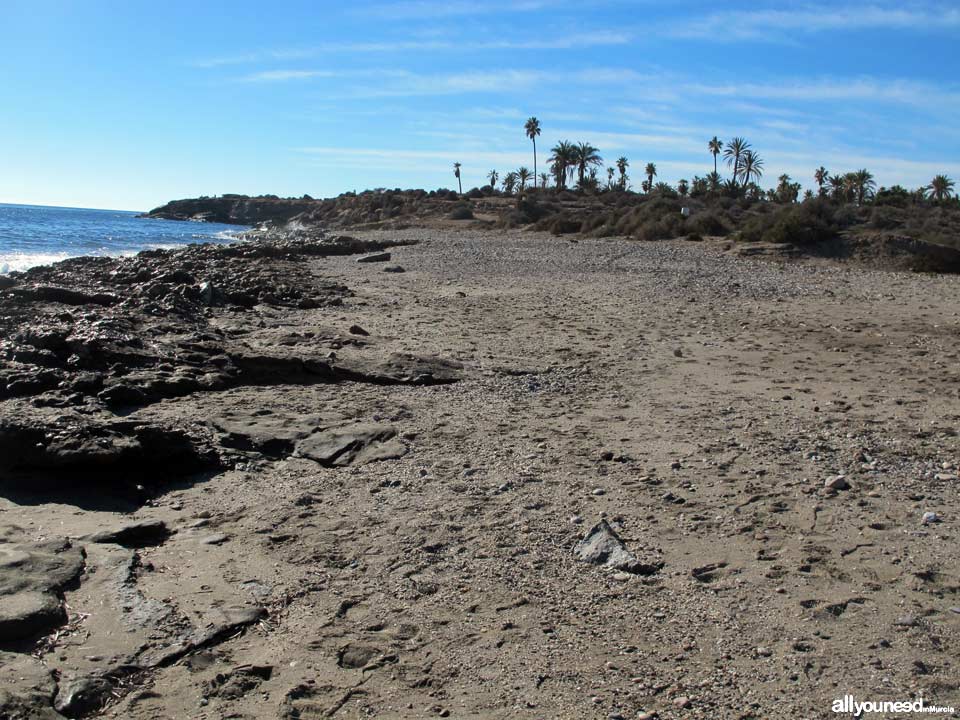 Playa de la Cañada del Negro