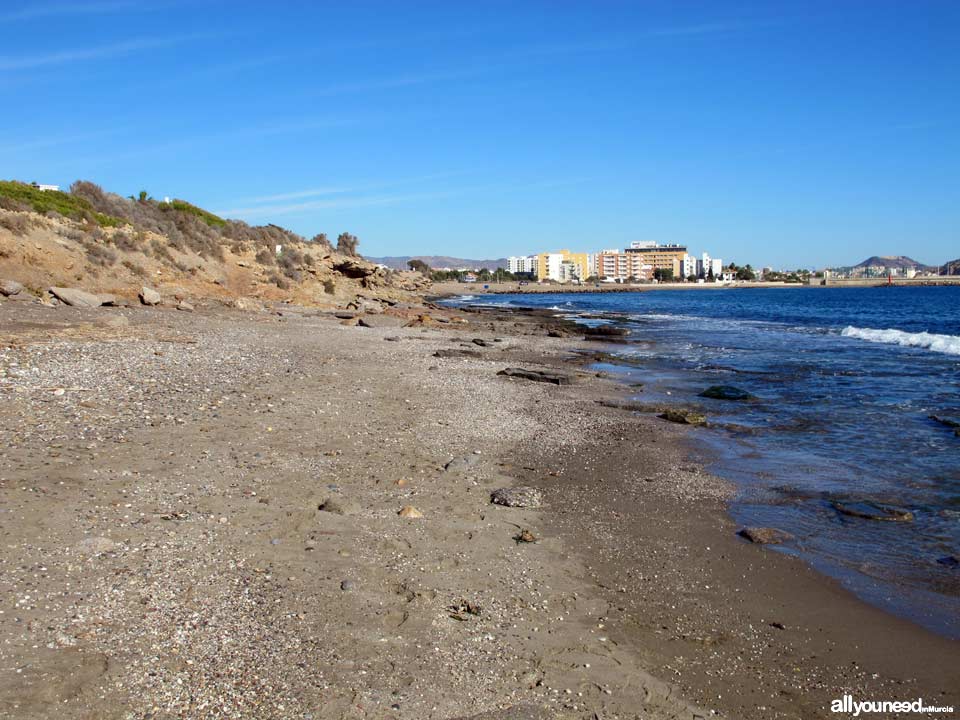 Playa de la Cañada del Negro