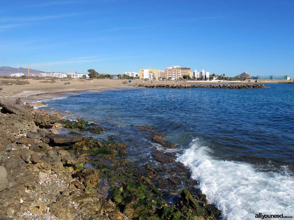 Playa de la Cañada del Negro