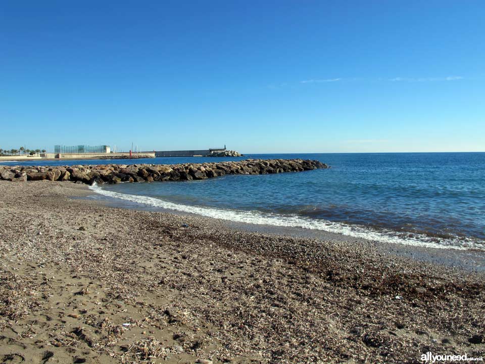 Playa de la Cañada del Negro
