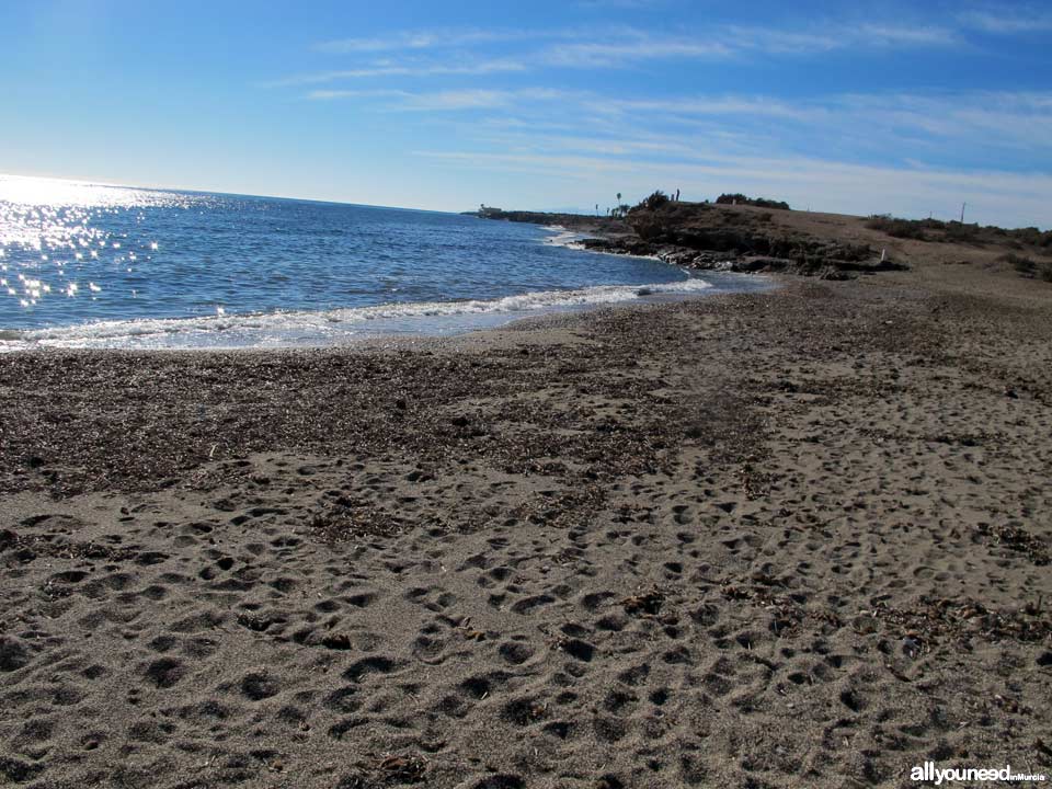 Playa de la Cañada del Negro