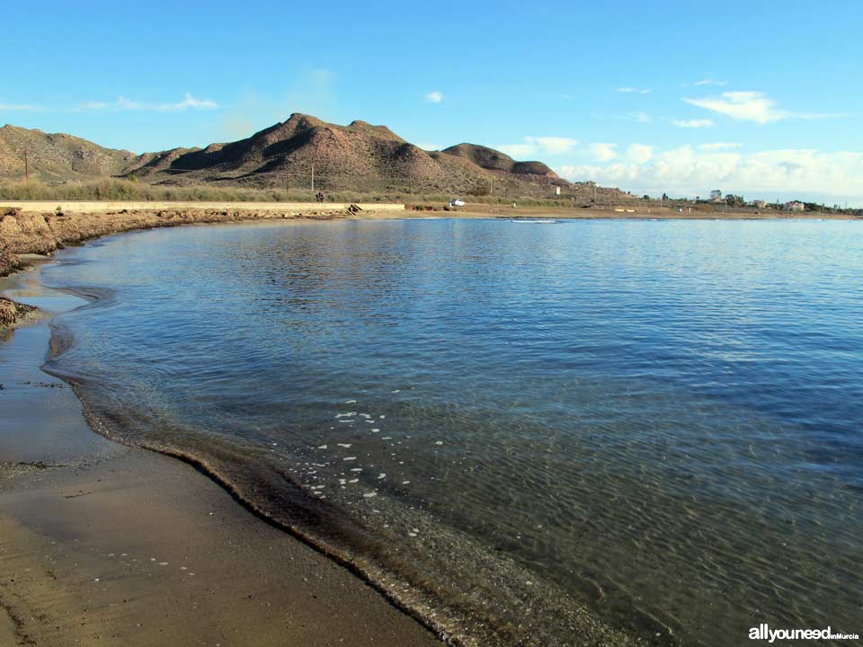 Playa de la Cola