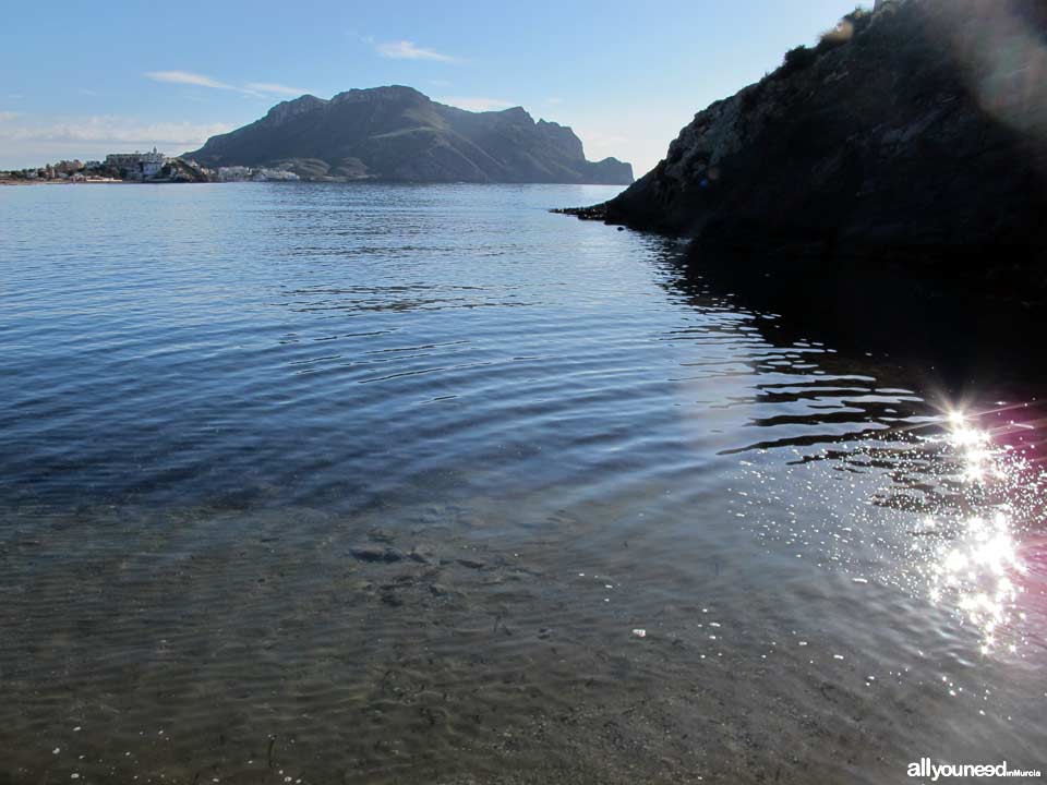 Playa de la Cola