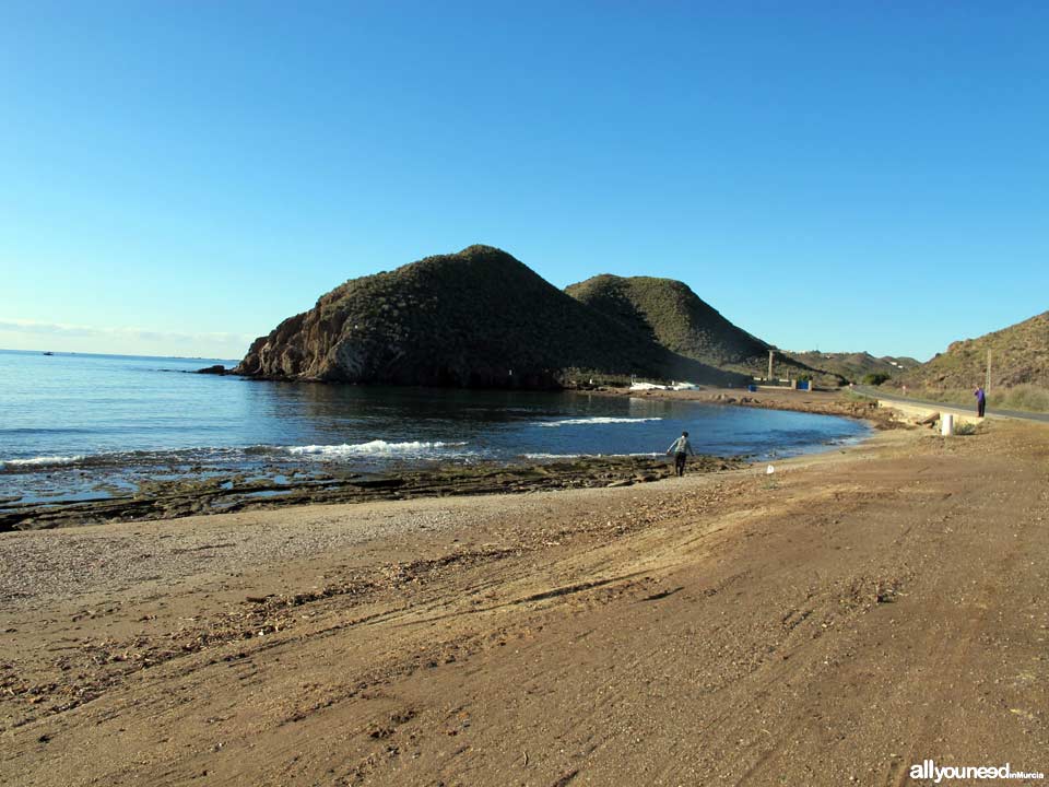 Playa de la Cola