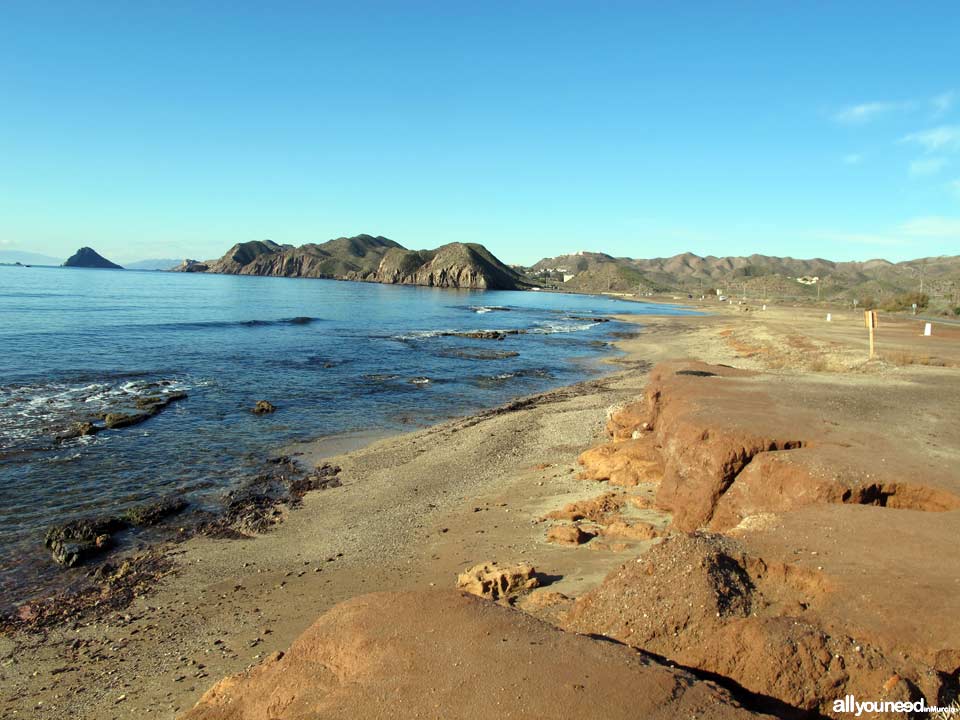 Playa de la Cola