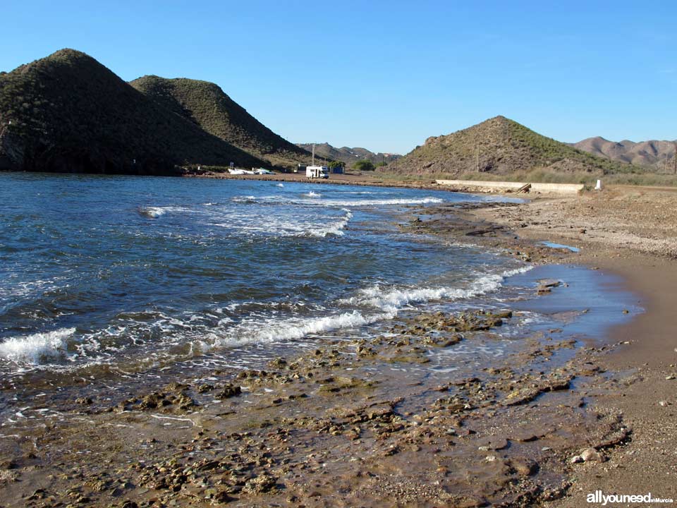 Playa de la Cola