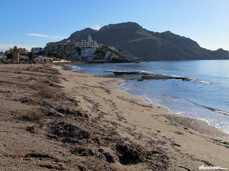 Playa de la Cola