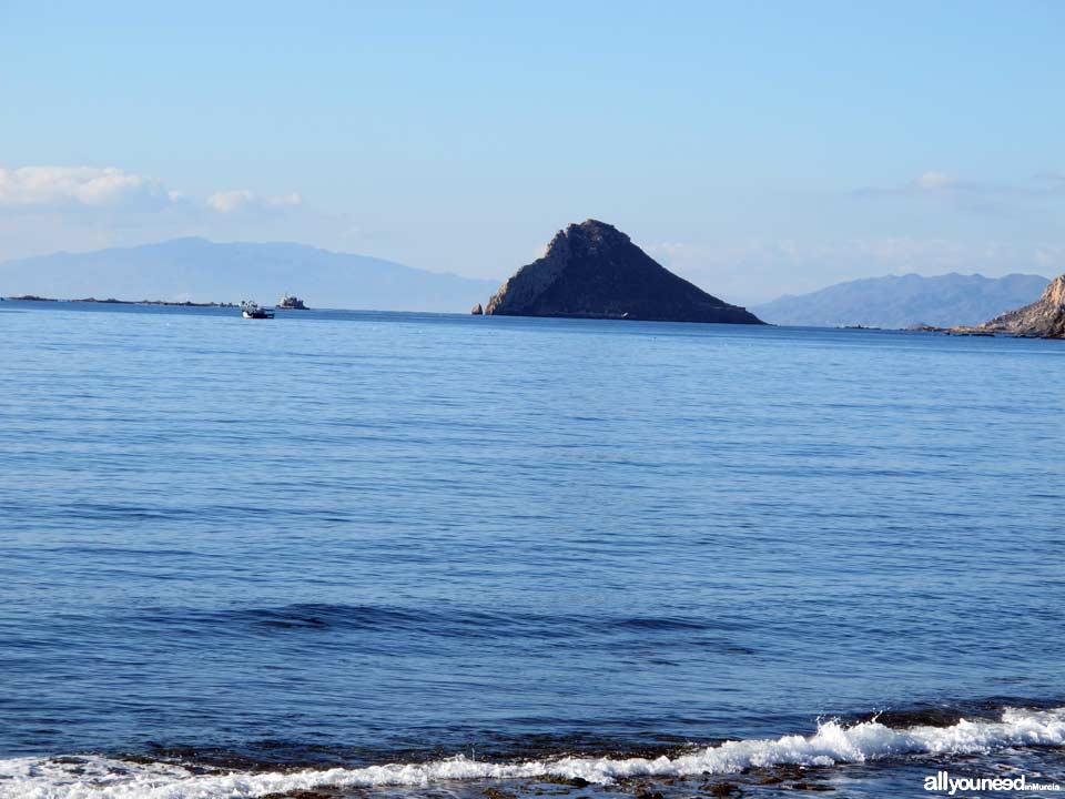 Playa de la Cola