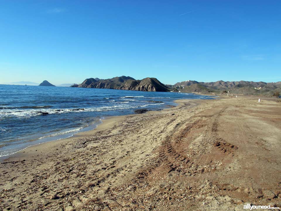 Playa de la Cola