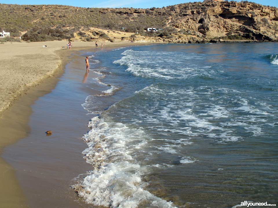 Playa de la Higuerica