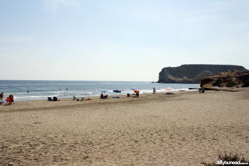 Playa de la Higuerica